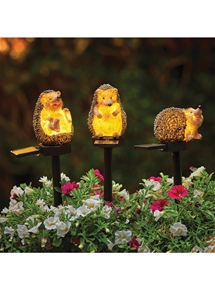 Hedgehog Solar Set